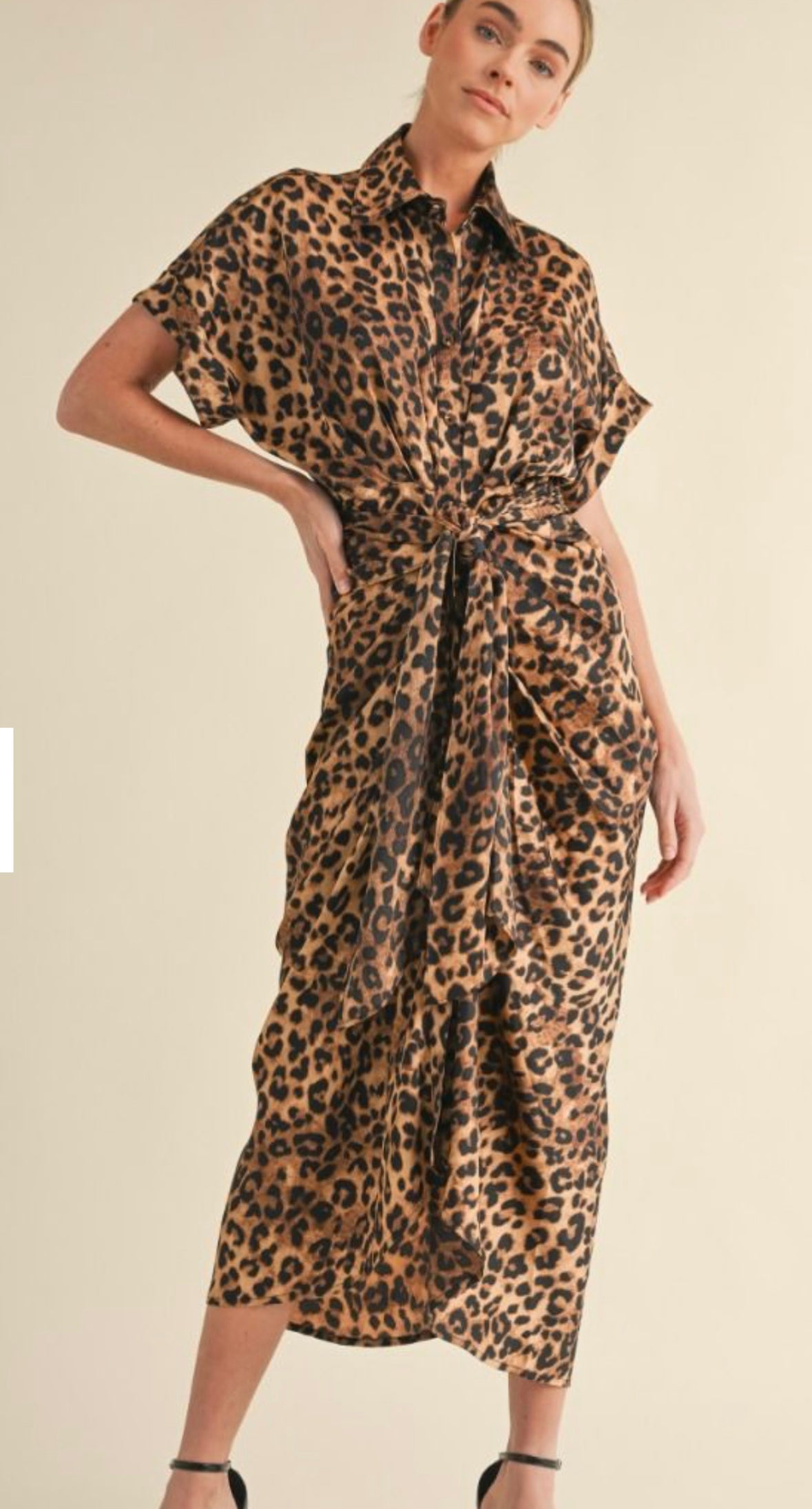 Leopard Dress