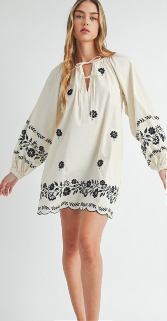 Flirty Floral Embroidered Dress